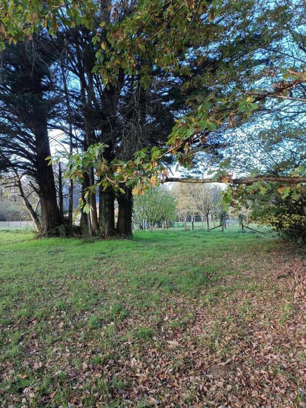 Terrain constructible - 1 190 m²