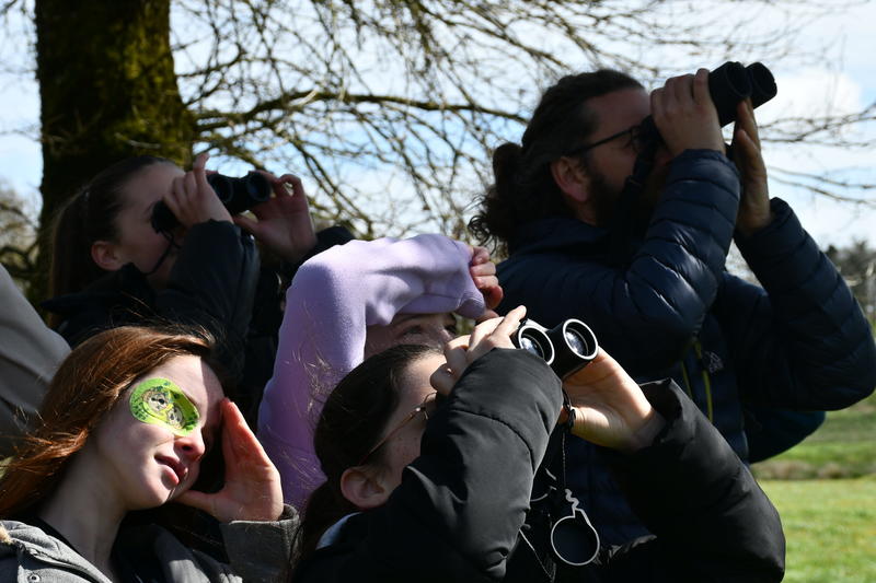 Balade matri·patrimoine - Habiter en oiseau