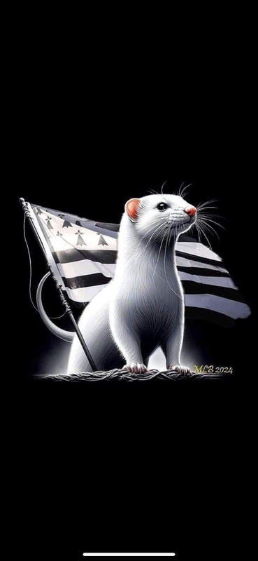 Fonds de commerce - Hôtellerie / Restauration - 70 m²