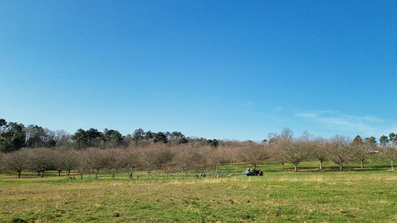 Étang - 170 000 m²