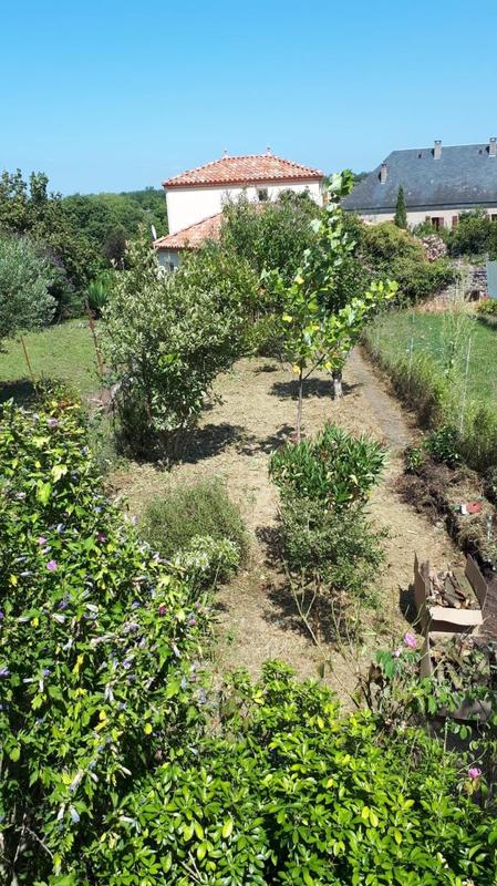 Maison - 49 m² - 2 pièces