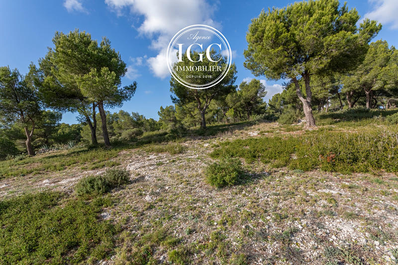 Maison - 180 m² - 5 pièces