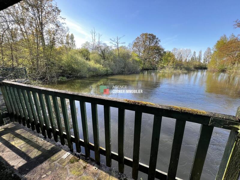 Studio - 46 m² - 1 pièce