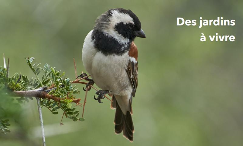 Appartement - 119 m² - 5 pièces