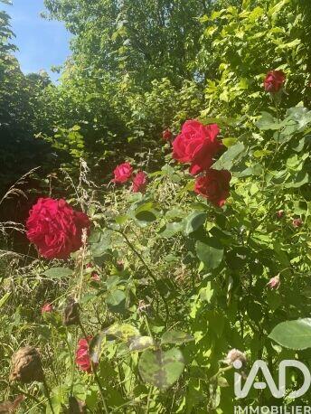 Maison - 44 m² - 2 pièces