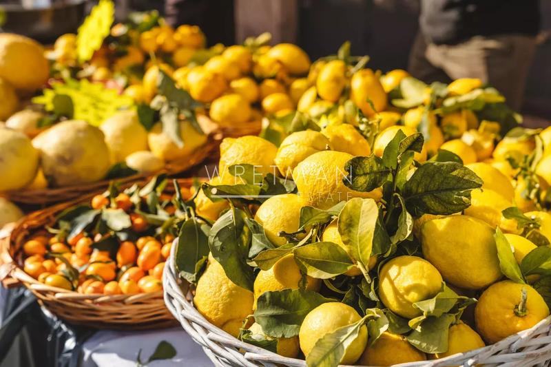 Appartement - 118 m² - 4 pièces