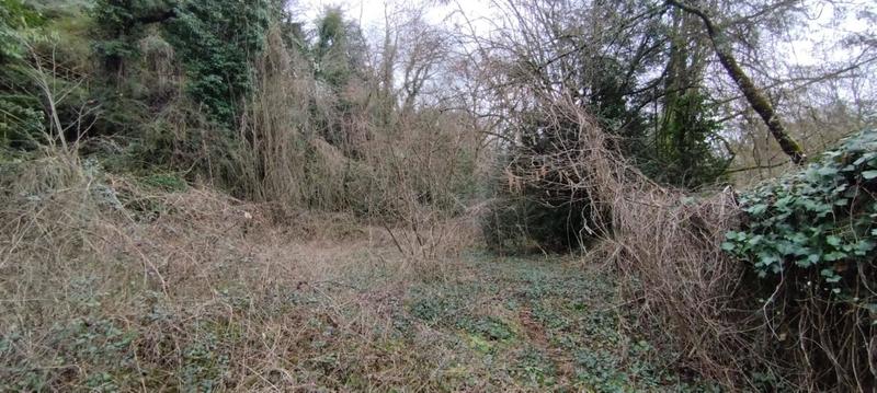 Demeure - 316 m² - 9 pièces