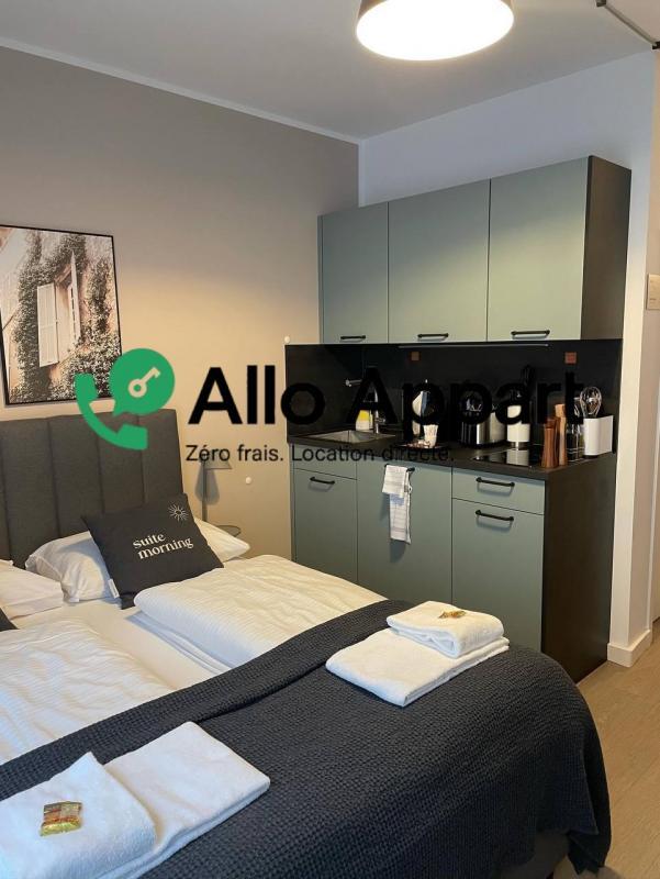 Studio - 19 m² - 1 pièce