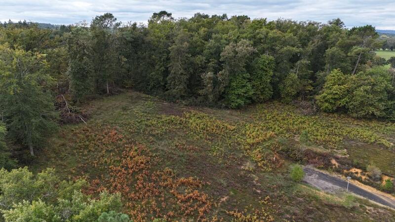 Terrain de lotissements - 2 302 m²