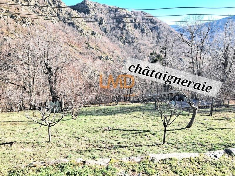 Mas - 128 m² - 7 pièces