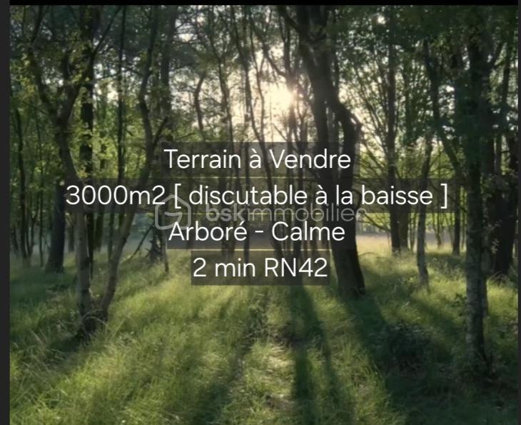 Terrain constructible - 3 000 m²