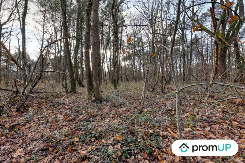 Terrain de loisirs - 770 m²