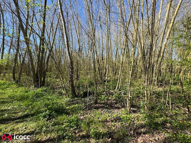 Terrain de loisirs - 3 255 m²