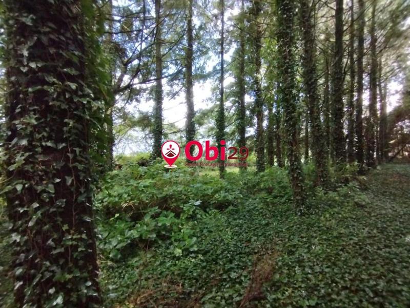 Maison - 54 m² - 3 pièces