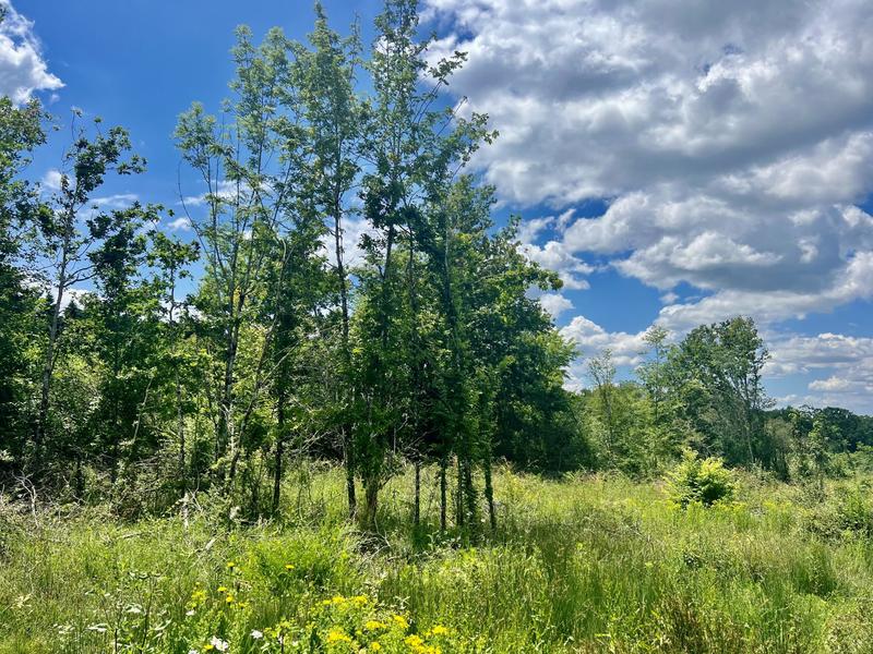 Terrain agricole - 7 311 m²