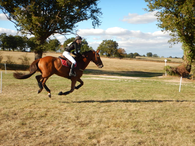 Finale nationale jeunes chevaux d’endurance