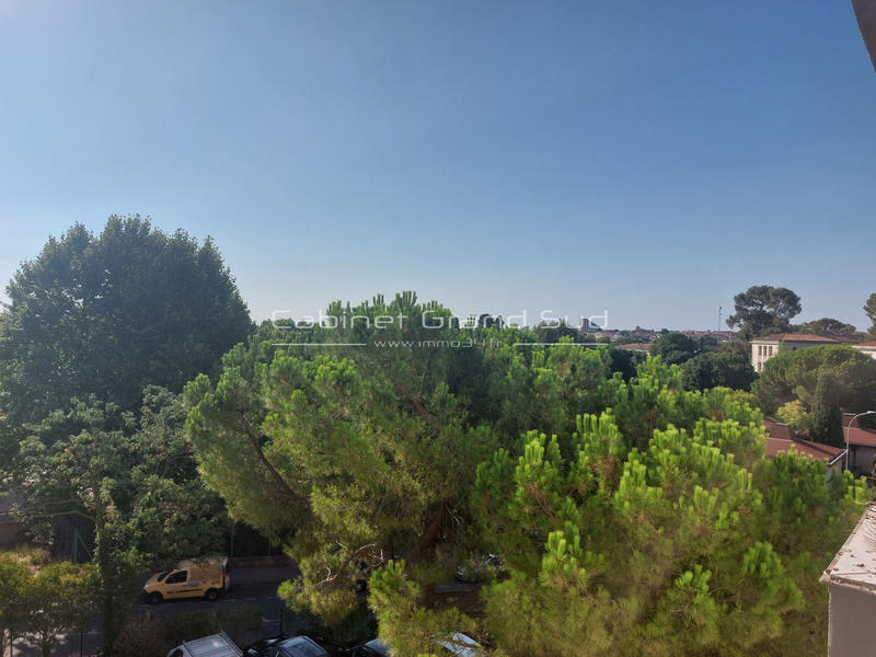 Appartement - 55 m² - 2 pièces