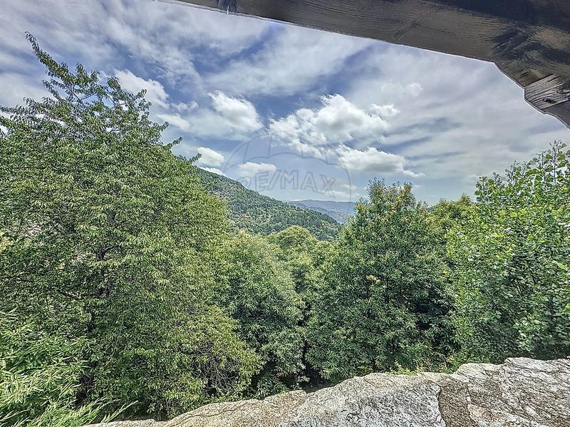 Propriété - 420 m² - 10 pièces