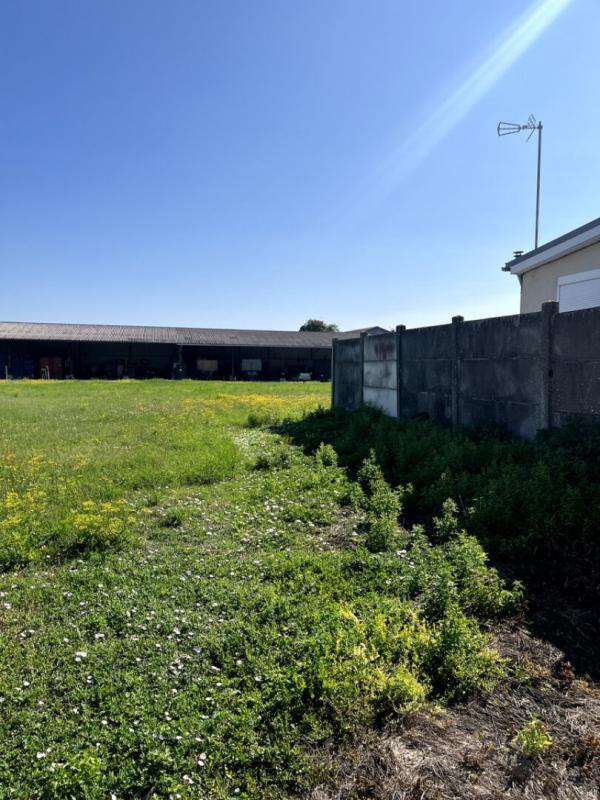 Terrain constructible - 1 911 m²