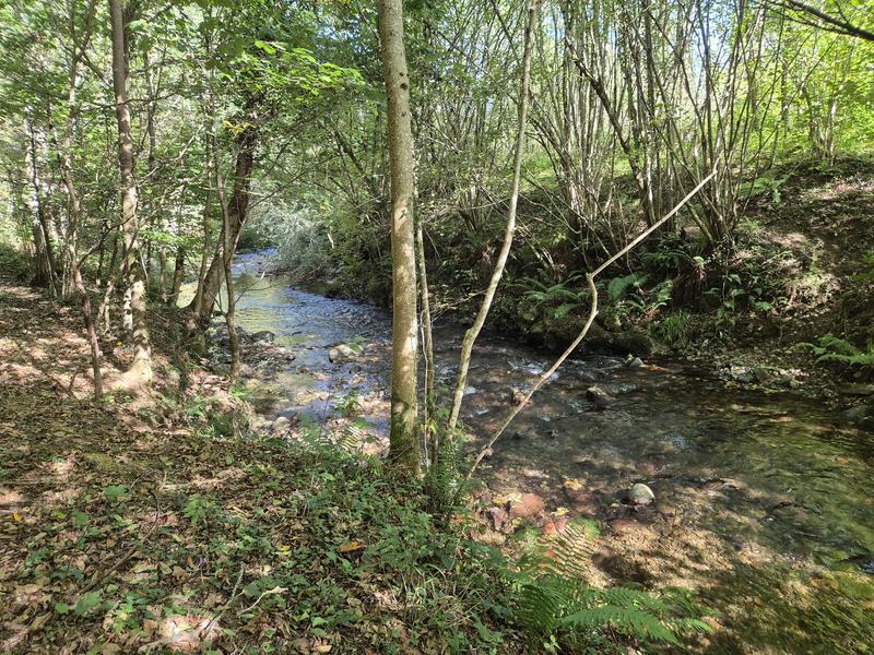 Maison - 128 m² - 5 pièces