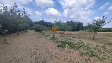 Ferme - 128 m² - 4 pièces