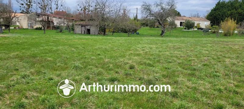 Terrain - 4 979 m²