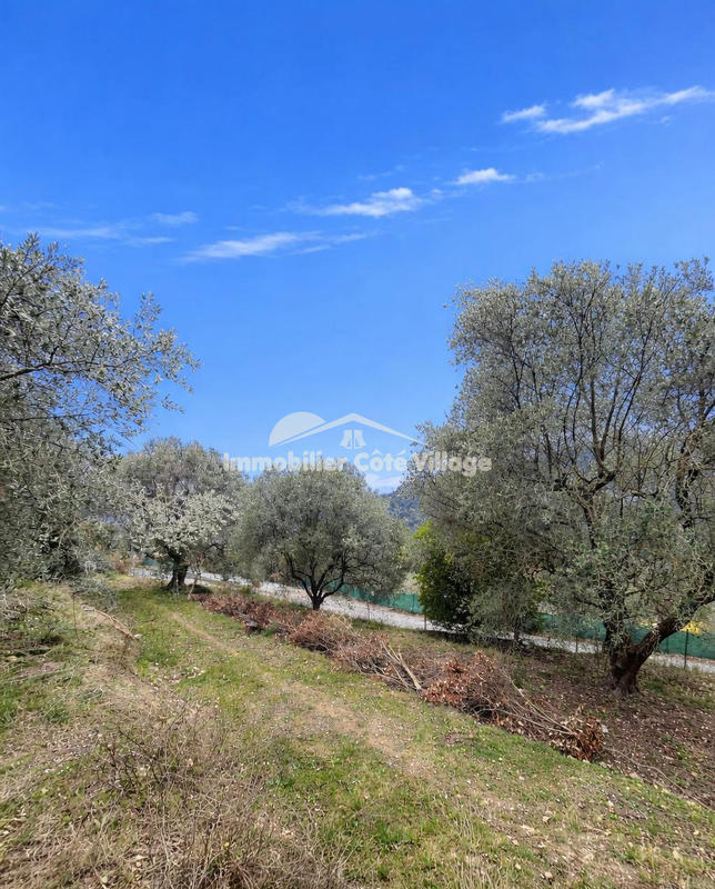 Terrain - 5 753 m²