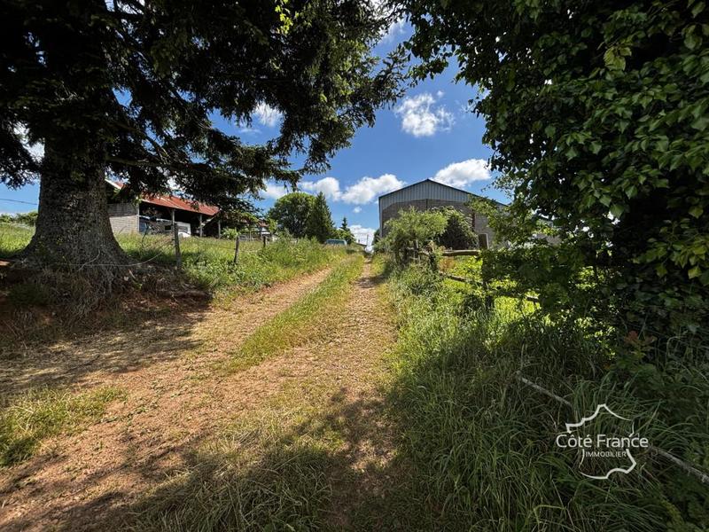 Corps de ferme - 98 m² - 6 pièces