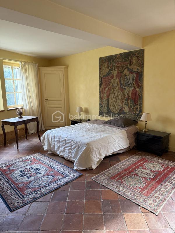 Moulin - 390 m² - 10 pièces