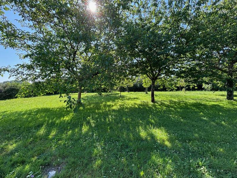 Maison en pierre - 170 m²