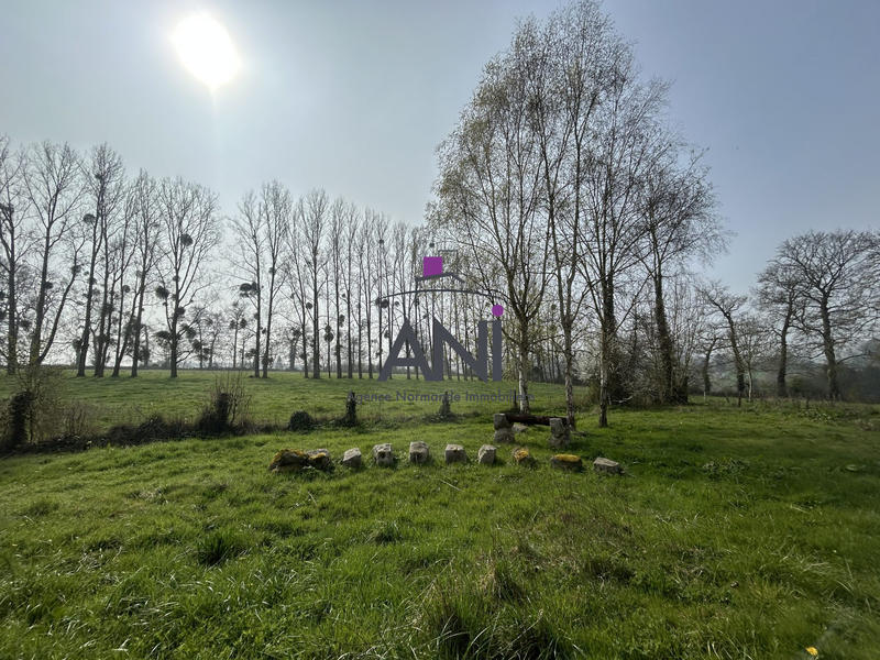 Maison ancienne - 280 m² - 9 pièces