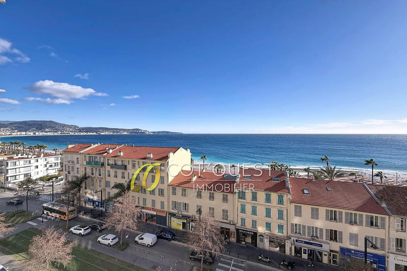 Appartement - 31 m² - 1 pièce