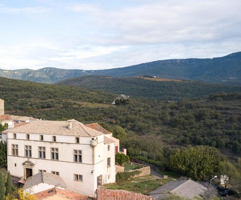 Château - 476 m² - 9 pièces