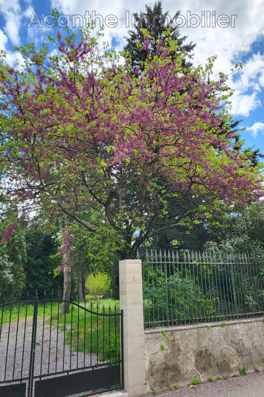 Maison - 430 m² - 10 pièces