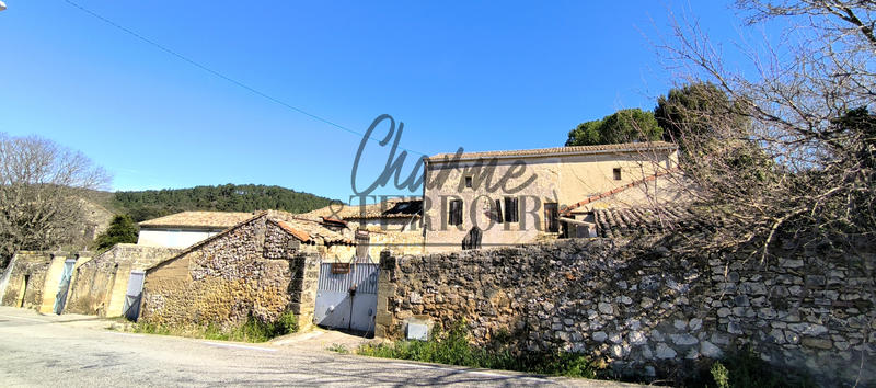 Mas - 300 m² - 6 pièces