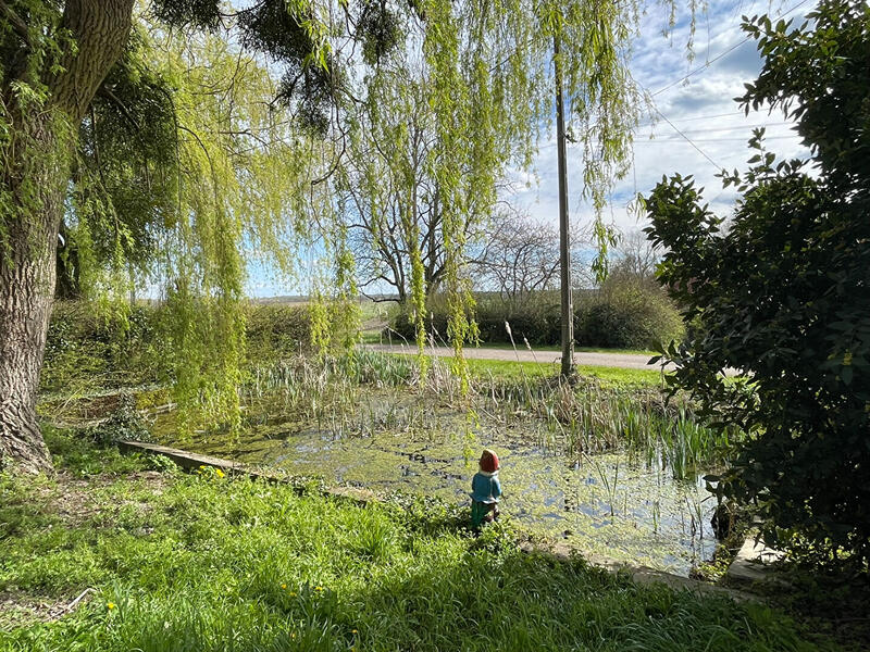 Longère - 126 m² - 4 pièces