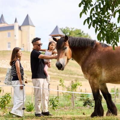 Nourrir les animaux de la ferme et atelier créatif au Château Plain Point