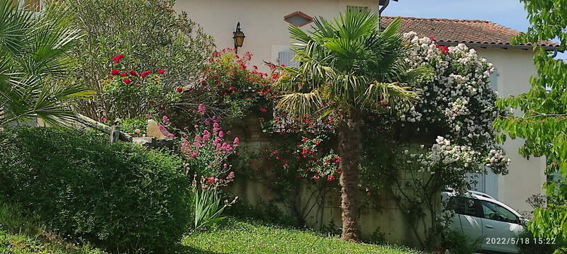 Villa - 167 m² - 12 pièces