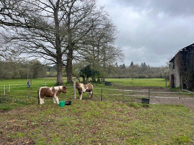 Corps de ferme - 95 m² - 4 pièces