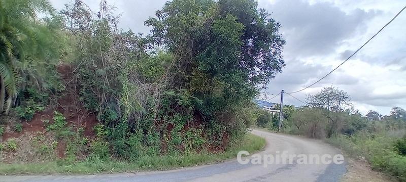 Terrain constructible - 7 647 m²