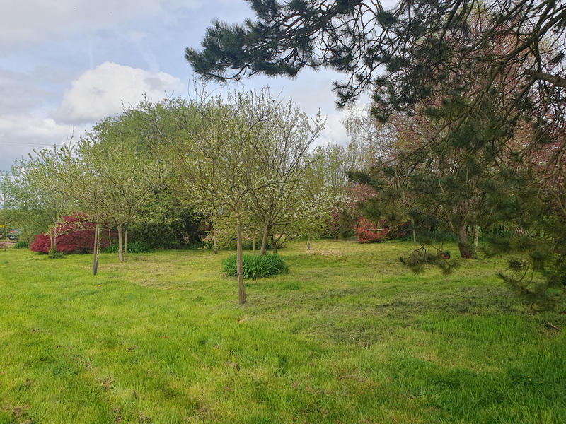 Maison - 53 m² - 3 pièces