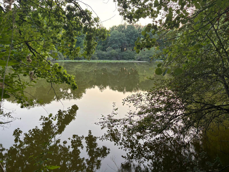 Terrain de loisirs - 43 162 m²