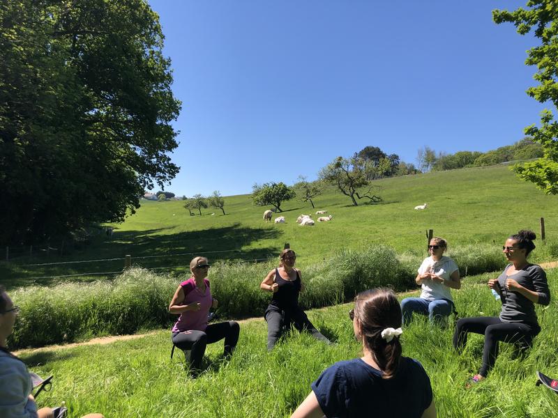 Balade sophro-nature - a la rencontre de Dieppe