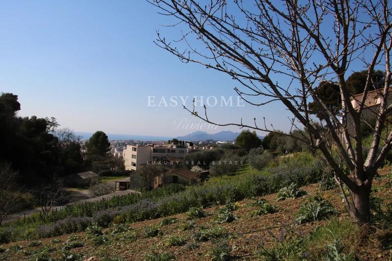 Terrain - 1 550 m²