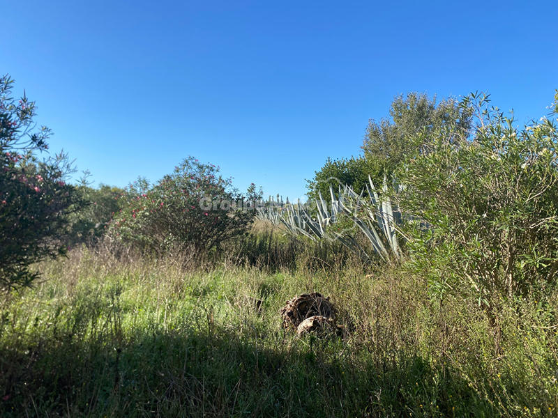 Villa - 65 m² - 2 pièces