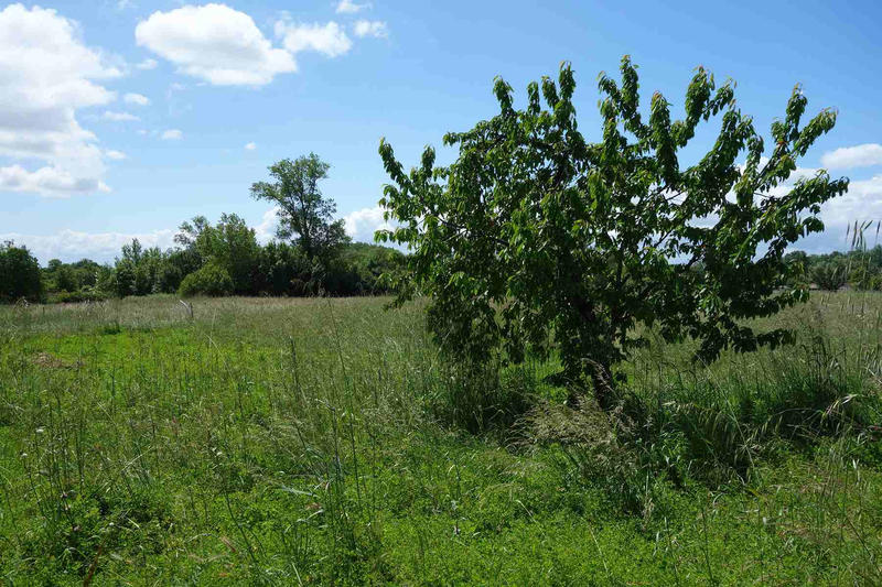 Maison - 202 m² - 3 pièces