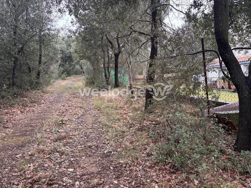 Maison ancienne - 70 m² - 4 pièces