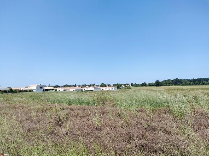 Terrain - 333 m²