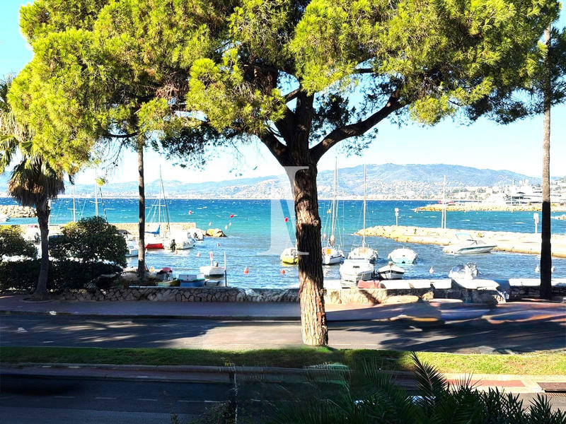 Appartement - 51 m² - 1 pièce