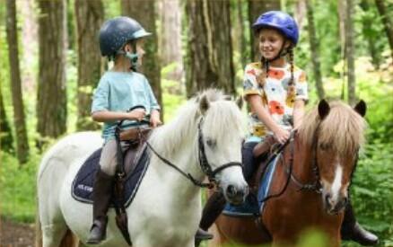 Stages d'été à poney avec les Paladins de Saint-Agnan